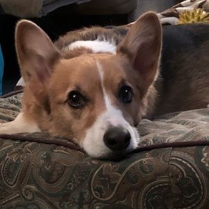 Meet your Posher, Cheryl